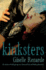 Kinksters: 12 Stories of Wild Group Sex, Bisexual Fun and Kinky Pleasures