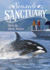 Orca in Open Water (Seaside Sanctuary)