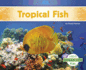 Tropical Fish (Ocean Life)