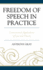 Freedom of Speech in Practice: Controversial Applications of Law and Theory