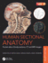 Human Sectional Anatomy: Pocket Atlas of Body Sections, Ct and Mri Images, Fourth Edition