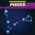 Pisces (the Constellation Collection)