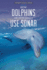 How Dolphins and Other Animals Use Sonar (Superior Animal Senses)