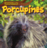 Porcupines (Creatures of the Forest Habitat)
