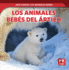 Los Animales Bebs del rtico (Baby Arctic Animals)