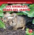 Los Animales Bebs Del Jardn/ Baby Backyard Animals (Qu Lindos! Los Animales Bebs/ Too Cute! Baby Animals) (Spanish Edition)