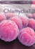 What is Chlamydia? (Sexual Health Awareness)