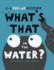 What's That in the Water? : a Pop-Up Mystery