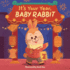 It's Your Year, Baby Rabbit