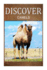 Camels-Discover: Early Reader's Wildlife Photography Book