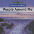 Purple Around Me (Color in My World)