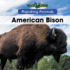 American Bison (Bookworms: Migrating Animals)