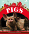 Pigs (in the Barnyard)