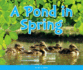 A Pond in Spring (Welcome, Spring! )