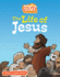 The Life of Jesus: a Play and Learn Book (Spark Story Bible)