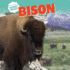 Bison (North America's Biggest Beasts)