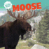 Moose (North America's Biggest Beasts)