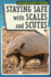 Staying Safe With Scales and Scutes (How Animals Adapt to Survive)