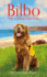 Bilbo the Lifeguard Dog: a True Story of Friendship and Heroism