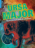 Ursa Major (the Myth and Science of Astronomy)