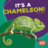 It's a Chameleon! (Bumba Books -Rain Forest Animals)