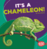 It's a Chameleon! (Bumba Books ®-Rain Forest Animals)