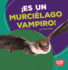 Es Un Murcilago Vampiro! (It's a Vampire Bat! ) Format: Paperback