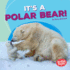 It's a Polar Bear! (Bumba Books -Polar Animals)