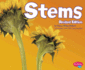 Stems (Plant Parts)