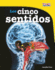 Los Cinco Sentidos /the Five Senses (Time for Kids En Espaol, Level 3) (Spanish Edition) (Time for Kids Nonfiction Readers)