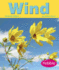 Wind