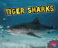 Tiger Sharks (All About Sharks)