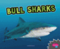 Bull Sharks (All About Sharks)