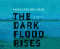 The Dark Flood Rises: a Novel