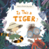 Is This a Tiger? (Alex's Field Guides, 2)