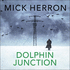 Dolphin Junction: Stories