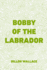 Bobby of the Labrador