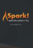 Spark! : Ignite the Leader in You