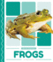 Frogs (Pond Animals)