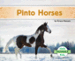 Pinto Horses (Horses Set 2)