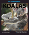 My Favorite Animal: Koalas