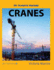 My Favorite Machine Cranes