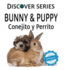 Bunny & Puppy / Conejito y Perrrito