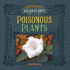 Poisonous Plants (21st Century Junior Library Beware! Killer Plants)