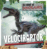 Velociraptor (All About Dinosaurs)