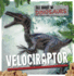 Velociraptor All About Dinosaurs