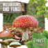 Mushrooms and Fungi (Forest Explorer)