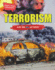 Terrorism: Are We All at Risk? (What's Your Viewpoint? )