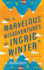 The Marvelous Misadventures of Ingrid Winter (Ingrid Winter, 1)