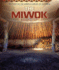 The Miwok (Spotlight on the American Indians of California)